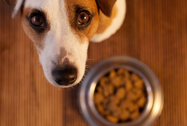 Reico Vital Systeme croccantini per cani naturali