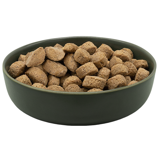 premio per cane biscotti di agnello