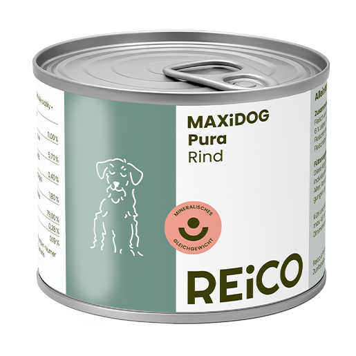 umido per cani con manzo Reico