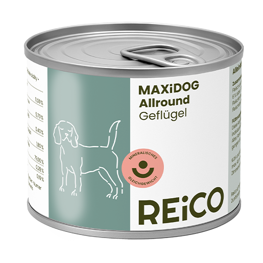 umido per cani con pollame Reico