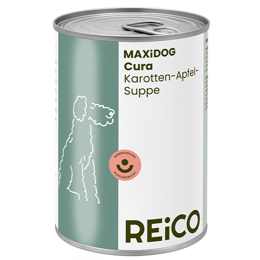 zuppa di carote e mela per cani Reico